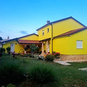Boro , Galižana Croazia